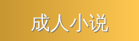 成人小说